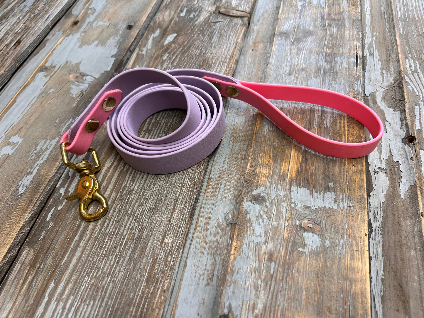 Biothane collar & leash set