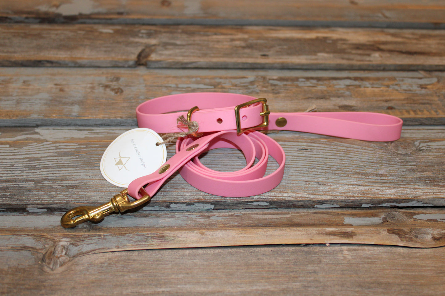 Biothane dog collar & leash set