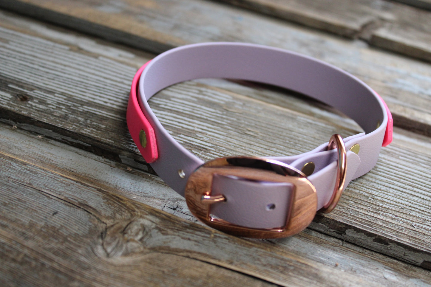 Biothane dog collar