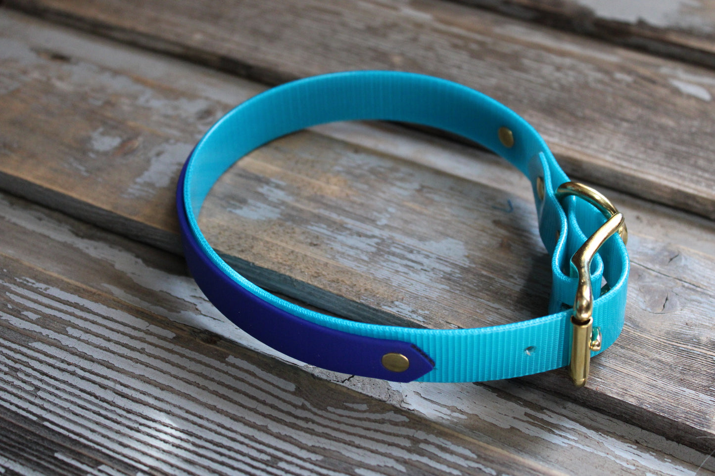 Biothane dog collar