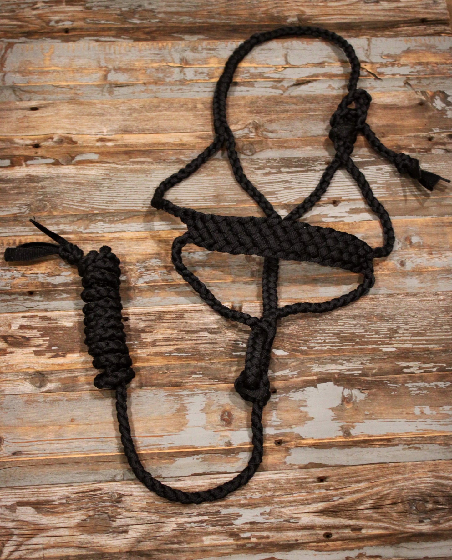 Mule tape halter