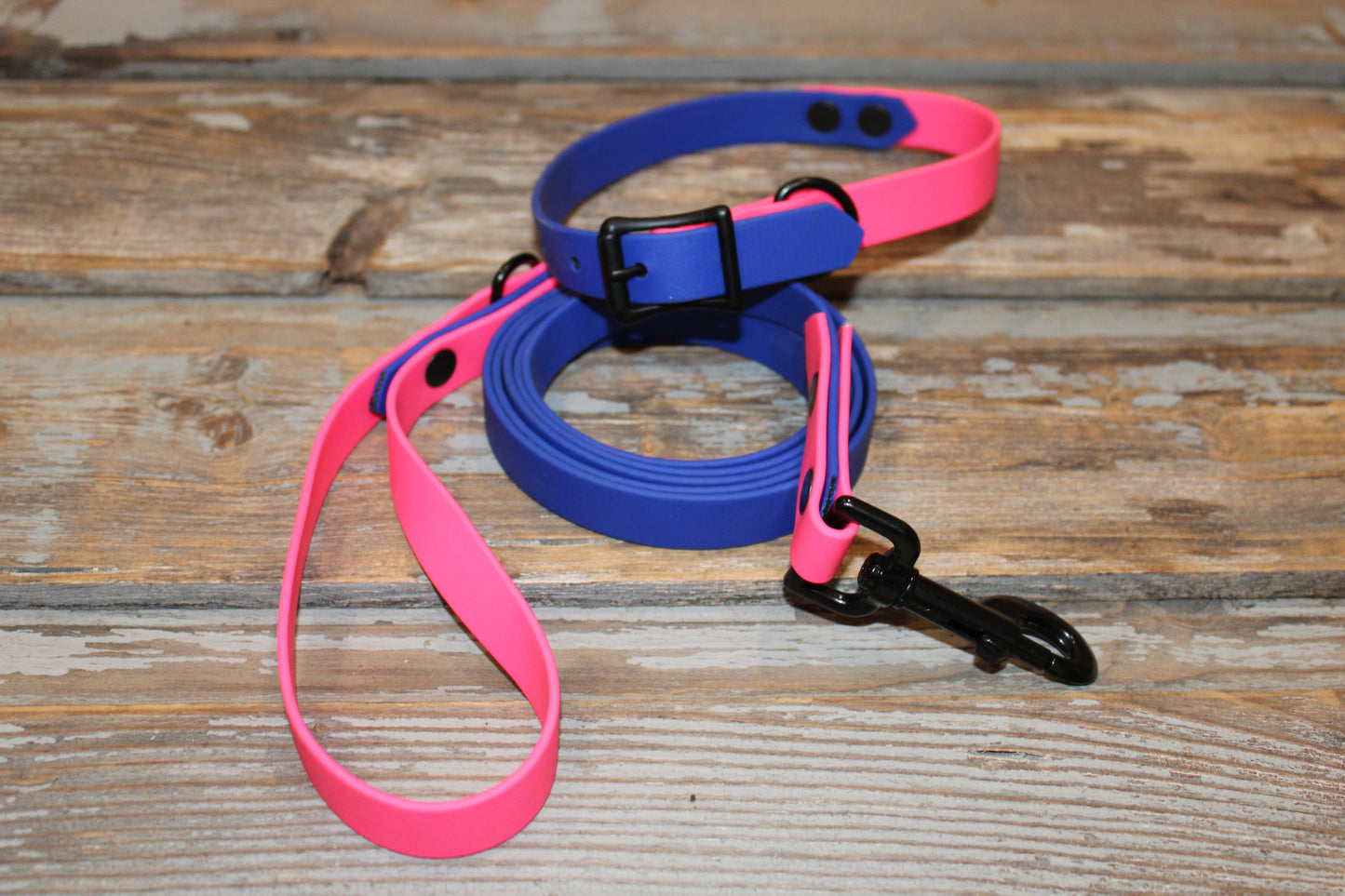 Large Biothane collar & leash set