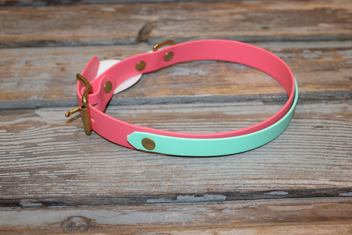 Biothane dog collar