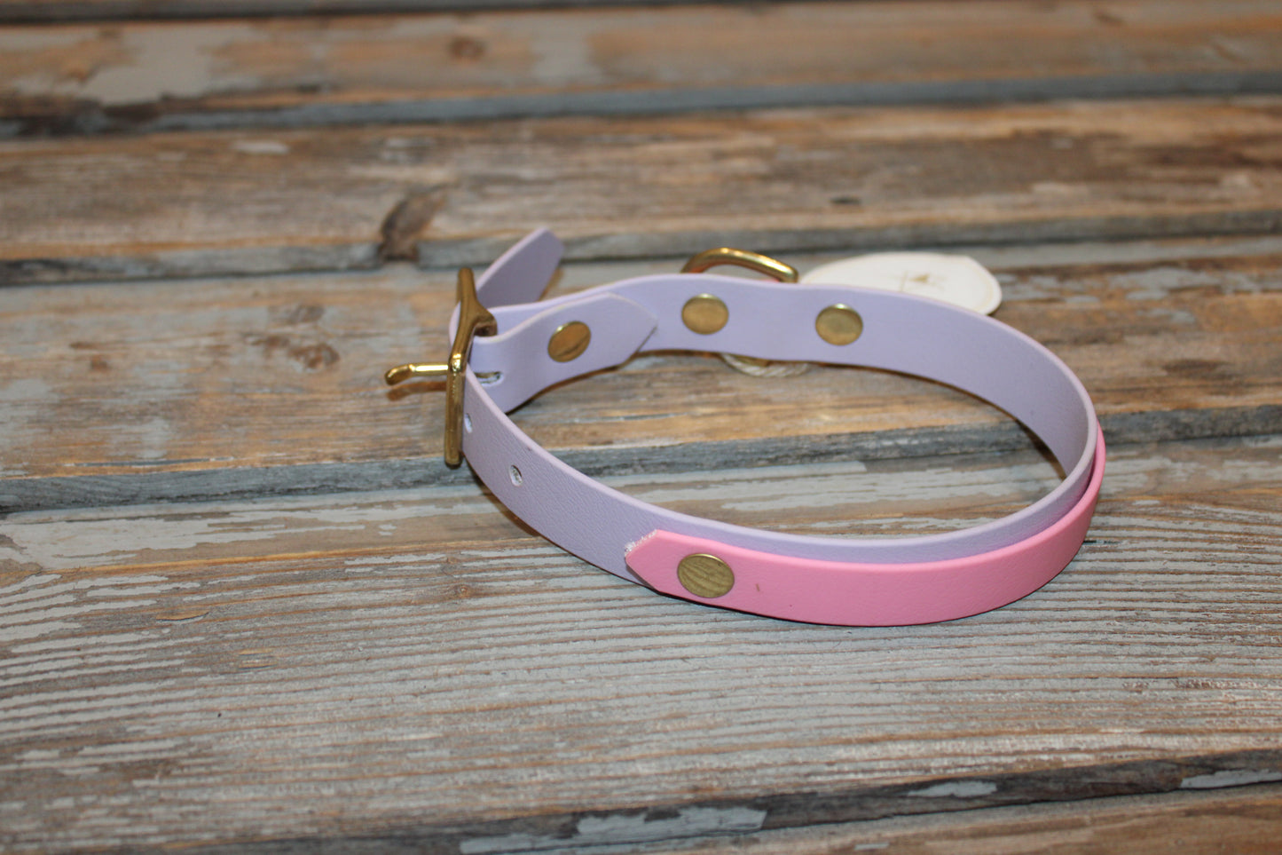 Biothane dog collar