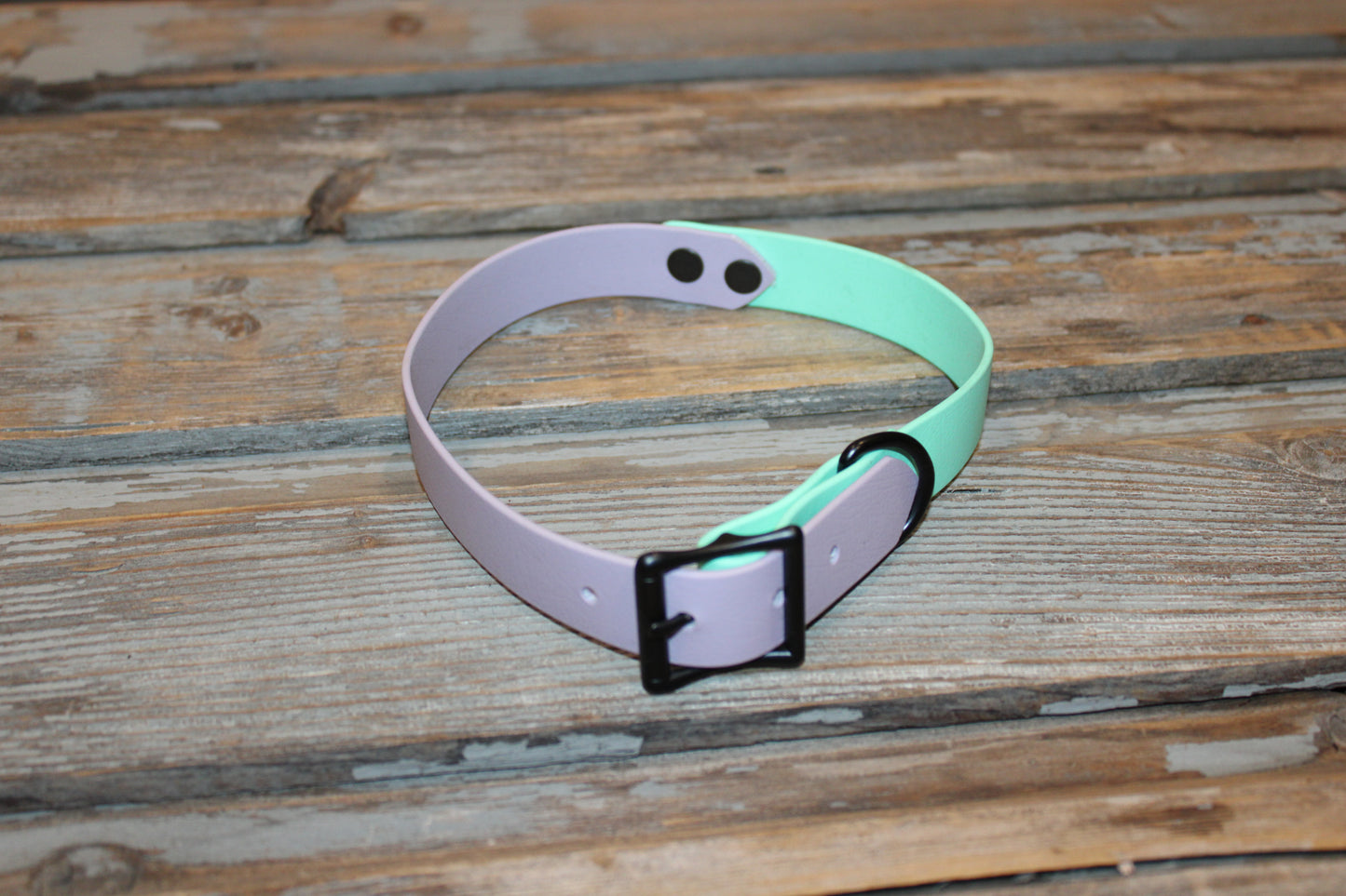 Biothane dog collar