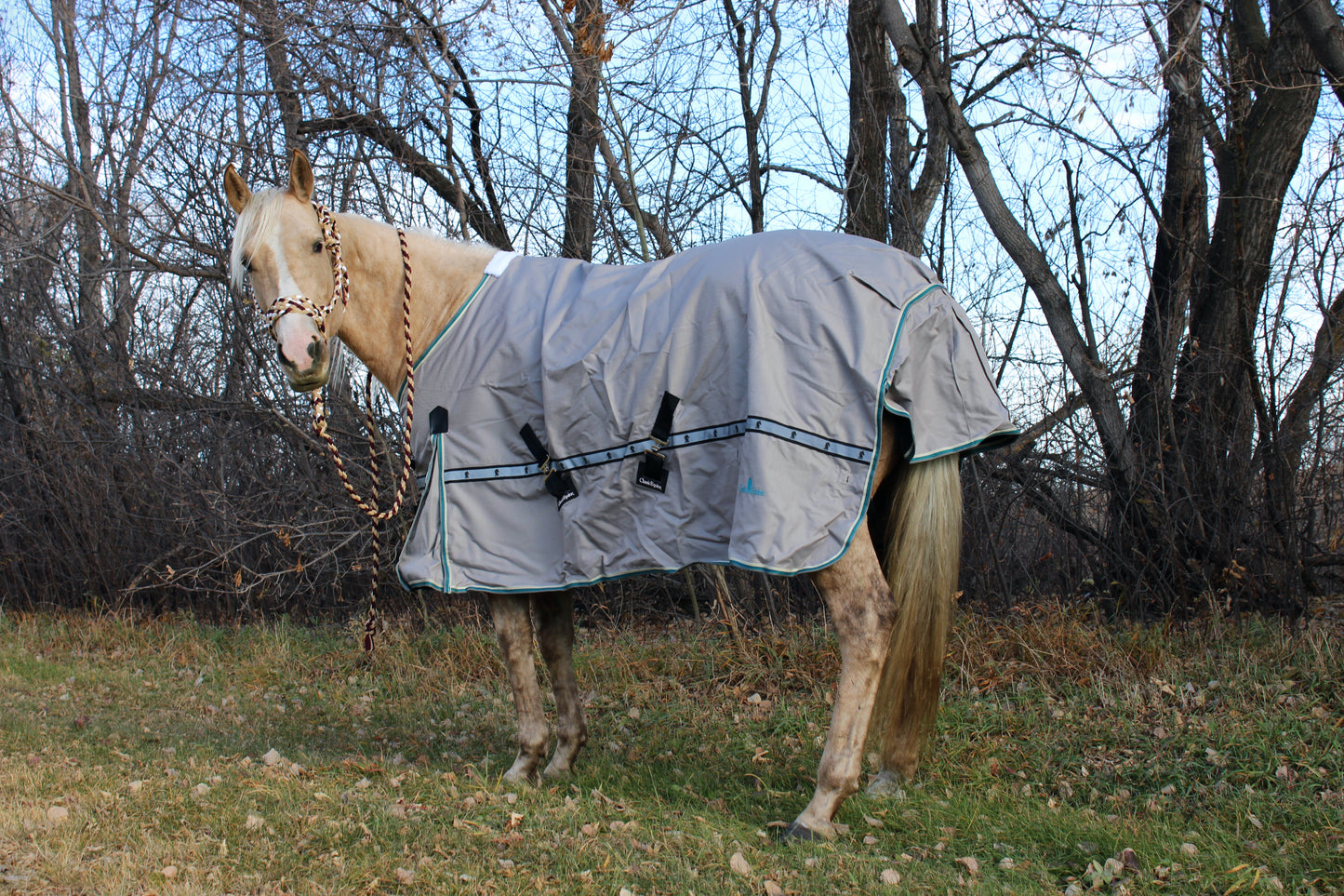 Windbreaker turnout