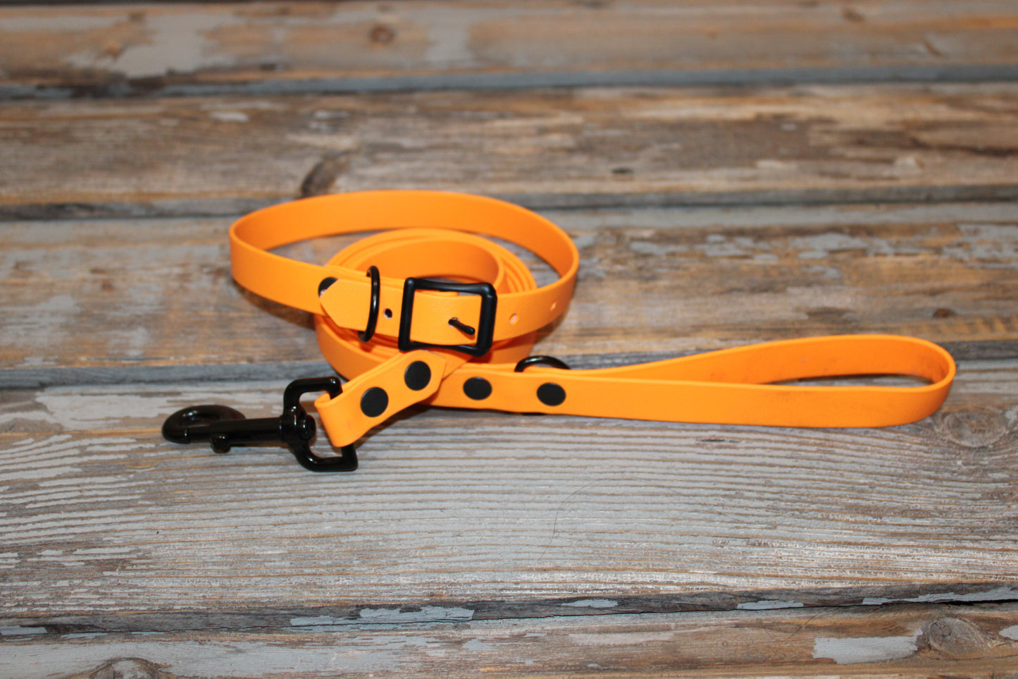 Biothane collar & leash set