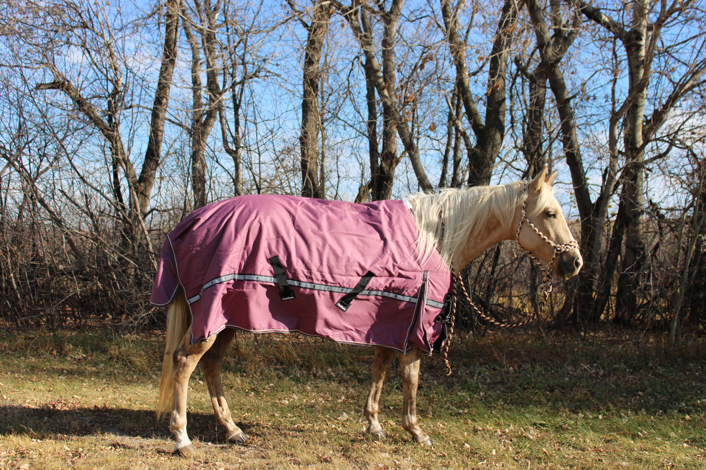 10k Cross Trainer Blanket with hood