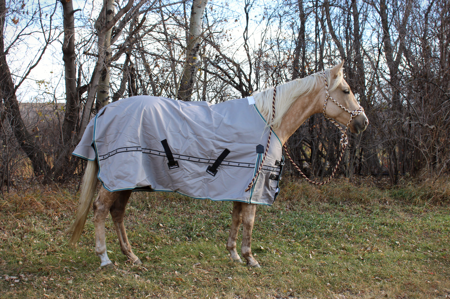 10k Cross Trainer Blanket with hood